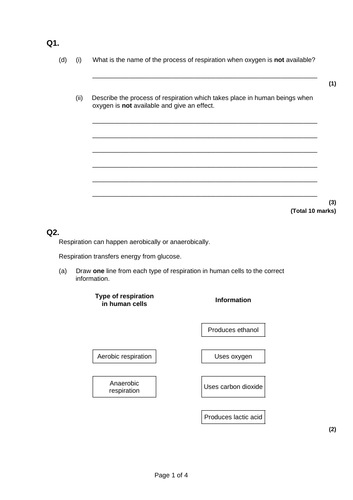 Anaerobic Respiration