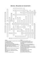 OCR PE Alevel crossword muscles bones and movement Teaching Resources