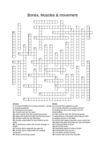 OCR PE Alevel crossword muscles bones and movement Teaching Resources