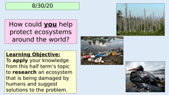 Natural ecosystem definition image