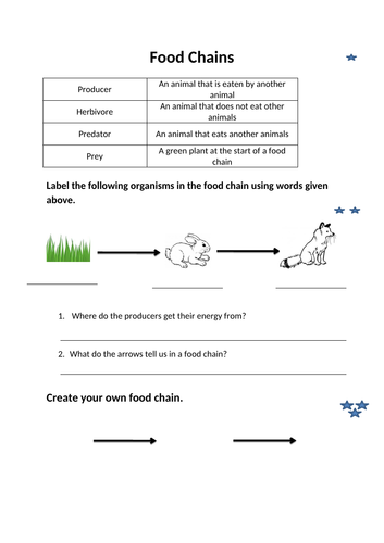 Primary Food Chain Worksheet | Teaching Resources