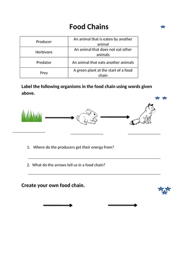 Food Chain Grade 2 Worksheets