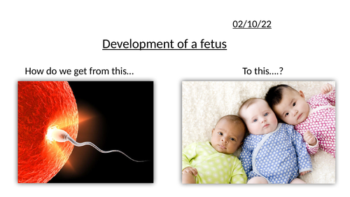 10.2 Human reproduction (NEW Activate 1) | Teaching Resources