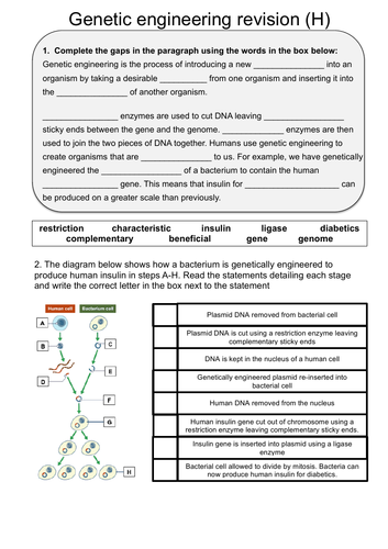 pdf, 707.43 KB