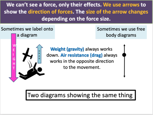 introduction to forces assignment quizlet edgenuity