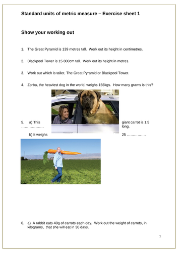 docx, 647.06 KB