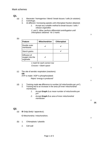 docx, 20.32 KB