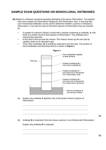 docx, 230.06 KB