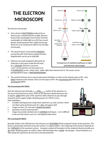 docx, 504.6 KB