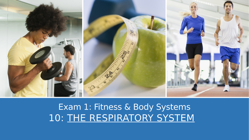 GCSE PE Edexcel 10: The respiratory system