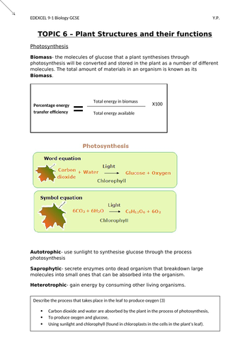 EDEXCEL BIOLOGY 9-1 GCSE (Separate) Topic 6 Plant Structures and their Functions YP