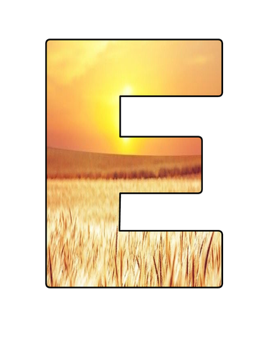 Harvest Festival Banner | Teaching Resources