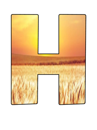 Harvest Festival Banner | Teaching Resources