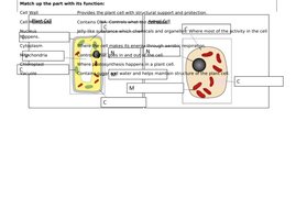 Year 7 Cells - Ppt and worksheets | Teaching Resources