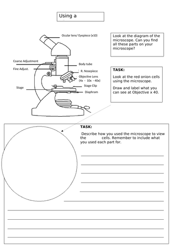 docx, 188.45 KB