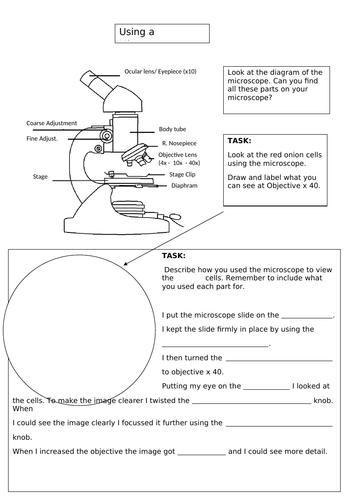 docx, 208.95 KB