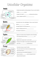 Year 7 Cells - Ppt and worksheets | Teaching Resources