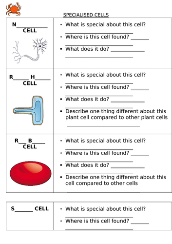 year 7 science homework cells