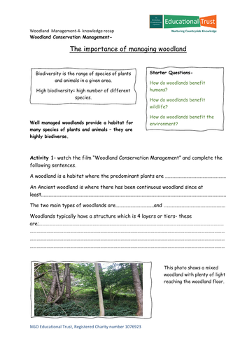 Conservation Fact Files 4-Habitats Woodlands | Teaching Resources