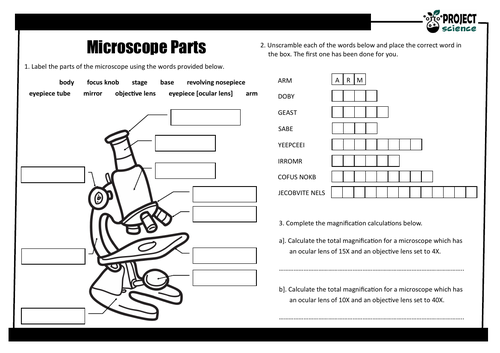 Microscope Parts PowerPoint Presentation and Activity Sheets | Teaching ...