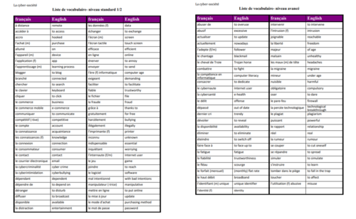 La cyber-société- Vocabulary List- A Level French