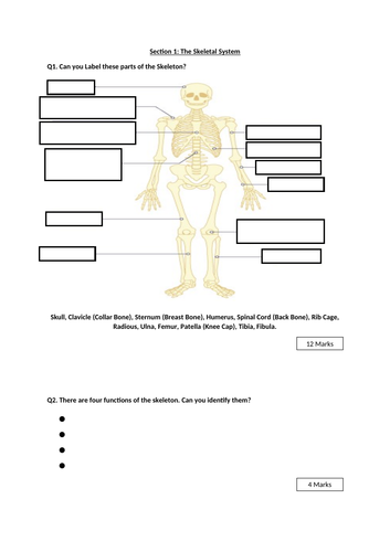 KS3 Sports Science - Lessons 8-14 - Powerpoints and Resources ...