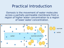 Osmosis Practical (Potato) | Teaching Resources