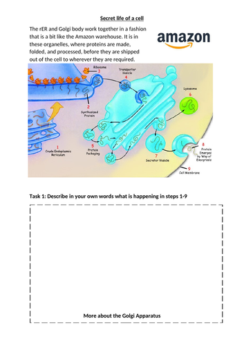 docx, 248.16 KB