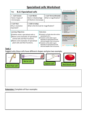 KS3 specialized cells | Teaching Resources