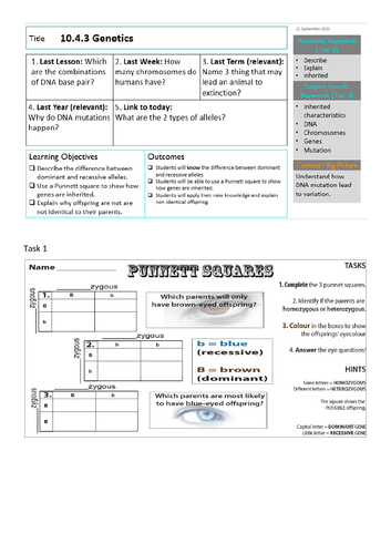 docx, 704.15 KB