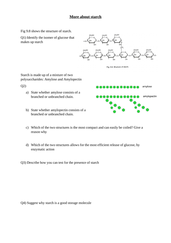 Aqa A Level New Specification Polysaccharides Starch Glycogen And