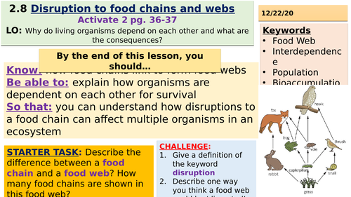 Disruption to food chains and webs KS3 Science | Teaching Resources