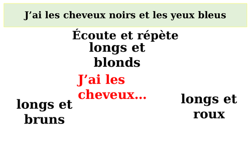 french-ks3-physical-description-teaching-resources