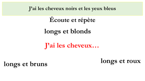 french-ks3-physical-description-teaching-resources