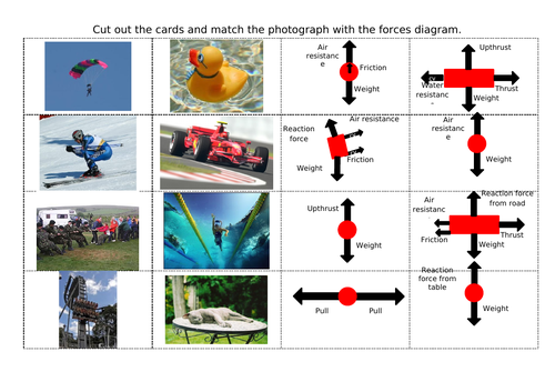 Free Body Diagrams | Teaching Resources