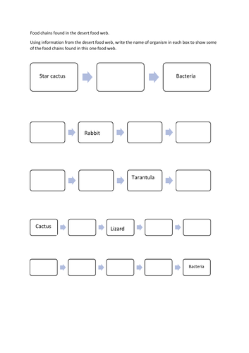 KS3 foodwebs, bioaccumulation and plastic pollution  Teaching 