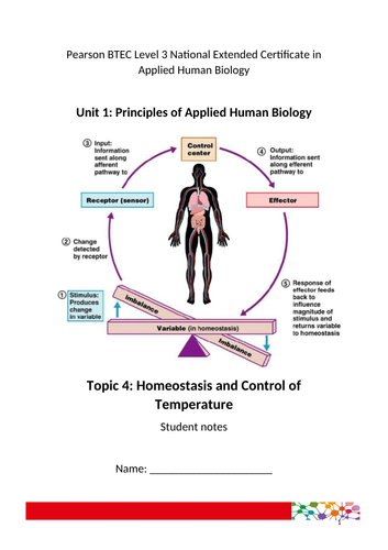 Homeostasis for Applied Human Biology BTEC Level 3 Teaching Resources