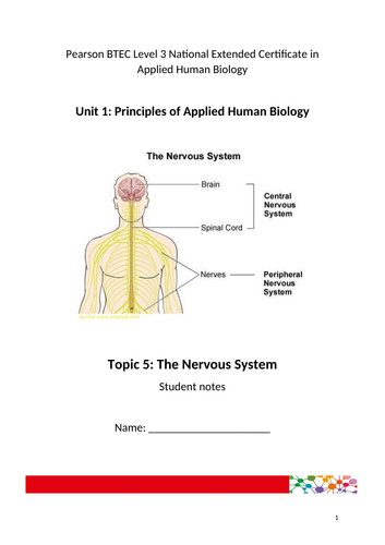 The Nervous System for Applied Human Biology BTEC Level 3