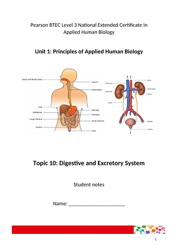 Digestive and Excretory System for Applied Human Biology BTEC Level 3