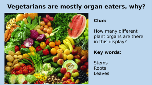 Plant tissues