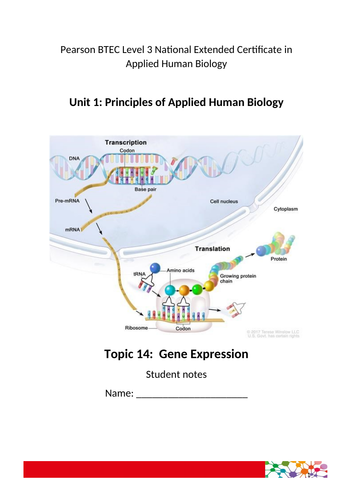 Gene Expression for Applied Human Biology BTEC Level 3