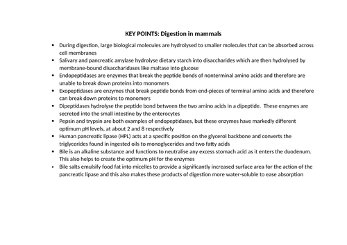 docx, 14.1 KB