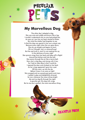 Peculiar Pets Poetry Writing Activity & Resources | Teaching Resources