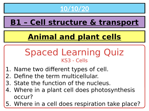 Aqa Gcse 9 1 Animal And Plant Cells Teaching Resources