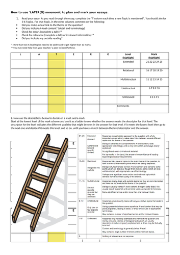 Synoptic essay example image