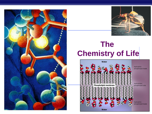 Biochemistry for IB and A Level - Presentations