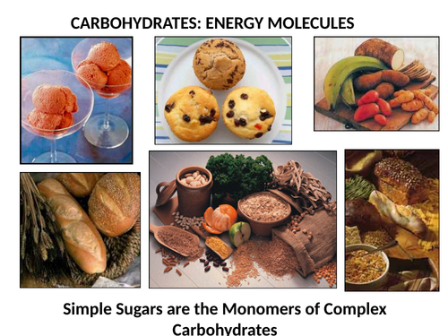 Biochemistry, including Macromolecules for IB and A Level - Presentations