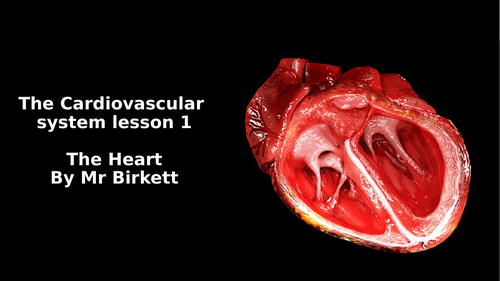 OCR A Level PE Year 1 Cardiovascular system powerpoint