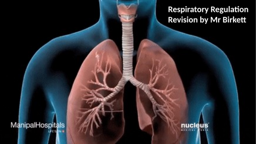 OCR A Level PE Year 1 Respiratory system powerpoint