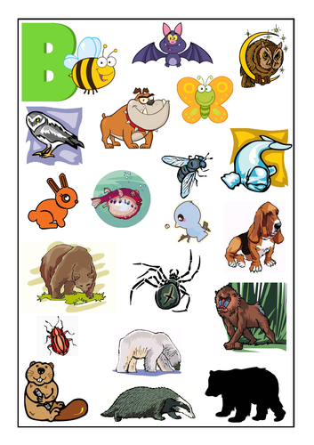 20 Animals that begin with the Letter B | Teaching Resources